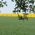 In Kr Pelin Nahe Ostsee * Kröpelin