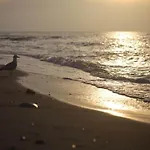 In Kr Pelin Nahe Ostsee