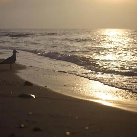 In Kr Pelin Nahe Ostsee