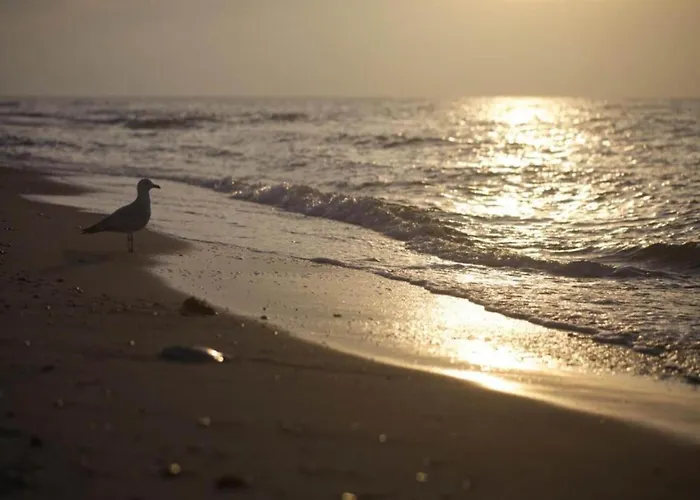 In Kr Pelin Nahe Ostsee