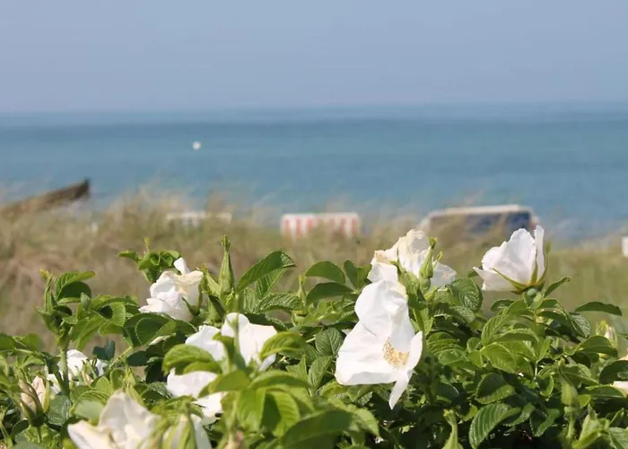 In Kr Pelin Nahe Ostsee Appartamento